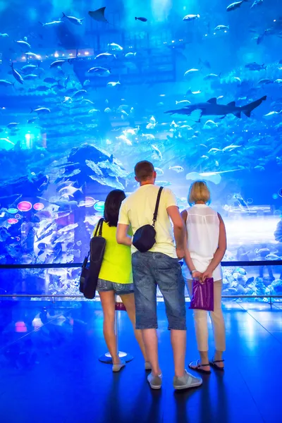 Tourists watching fishes — Stock Photo, Image