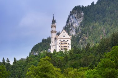 Neuschwanstein Şatosu