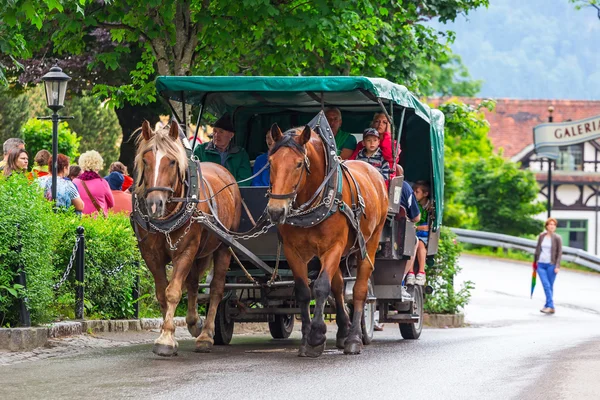 Chariot tiré par des chevaux au château de Neuschwanstein — Photo