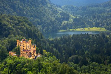 Bavyera Alpleri'nde castle Hohenschwangau