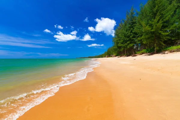 Bellissima spiaggia sul mare delle Andamane — Foto Stock