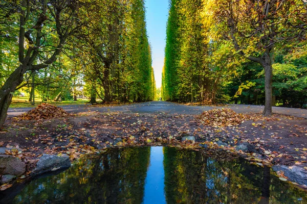 Herbst Oliwa Park Von Danzig Polen — Stockfoto