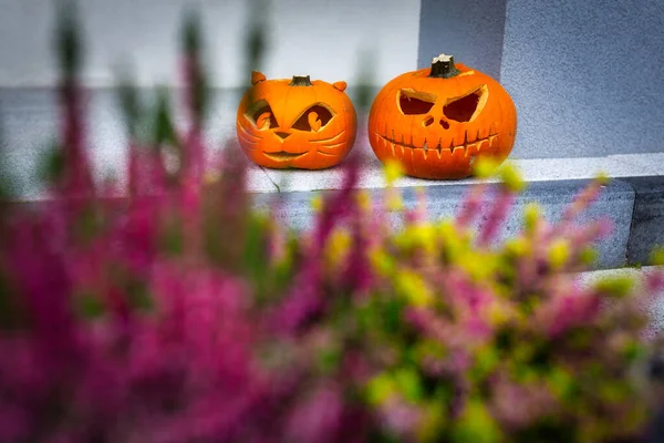 Τρομακτικές Κολοκύθες Halloween Διακόσμηση Στα Μπροστινά Σκαλιά — Φωτογραφία Αρχείου