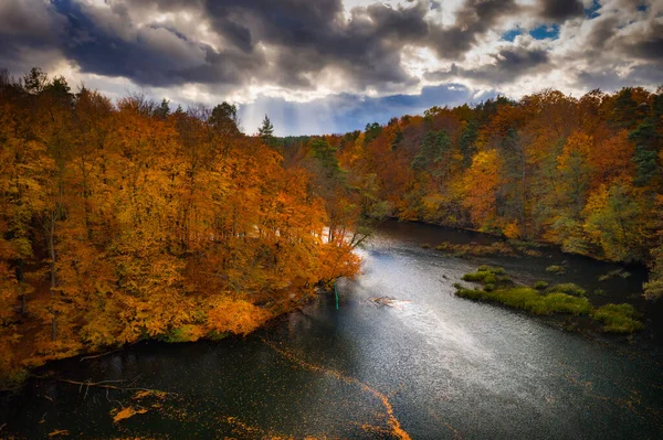 Podzimní Krajina Lesa Zkroucená Řeka Radunia Kašubii Polsko — Stock fotografie