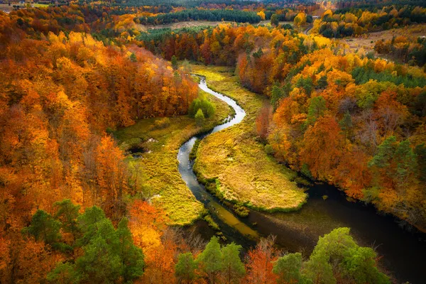 Jesienny Krajobraz Lasu Pokręcona Rzeka Kaszubach Polska — Zdjęcie stockowe