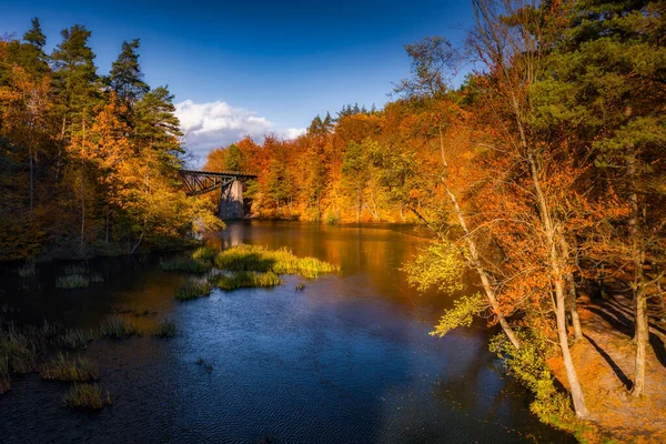 Herbstliche Landschaft Und Die Eisenbahnbrücke Rutki Kaschubia Polen — Stockfoto