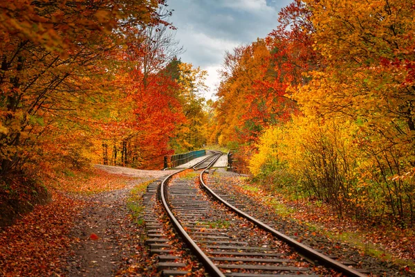 Осенний Пейзаж Железнодорожный Мост Рутках Кашубия Польша — стоковое фото
