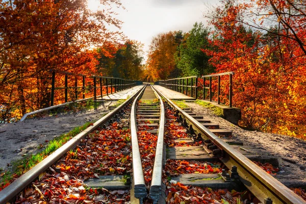 Herbstliche Landschaft Und Die Eisenbahnbrücke Rutki Kaschubia Polen — Stockfoto