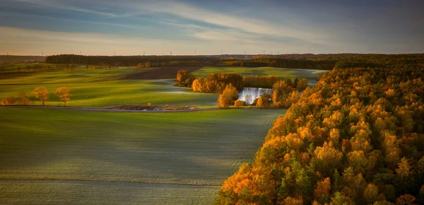 日の出のカシュビアの森の秋の風景です ポーランド — ストック写真
