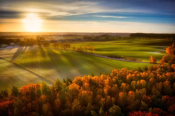 Gündoğumunda Kashubian Ormanlarının Sonbahar Manzarası Polonya — Stok fotoğraf