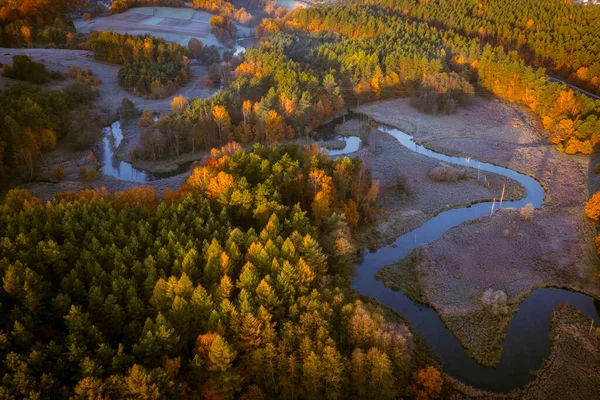 Річка Радунія Межує Осінніх Краєвидах Сходу Сонця Кашубія Польща — стокове фото