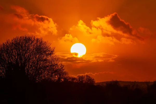 Hermosa Puesta Sol Naranja Detrás Los Árboles — Foto de Stock