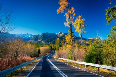 Polonya 'daki Tatra Dağları' na giden yolun sonbahar manzarası.