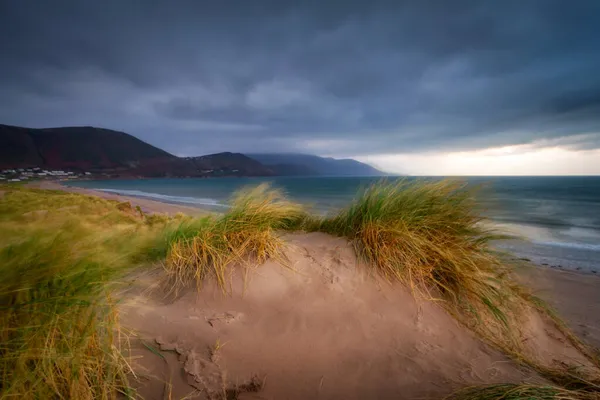 Bella Spiaggia Rossbeigh Tramonto Kerry Paesi Bassi — Foto Stock