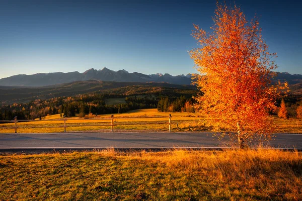 Les Premiers Rayons Soleil Levant Sur Les Montagnes Tatra Automnales — Photo