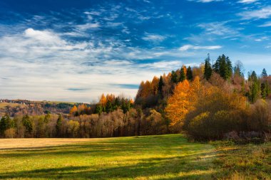Czorsztyn Gölü ve sonbahar renklerinde Pieniny Dağları 'nın güzel manzarası. Polonya