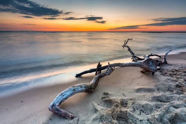 Una Hermosa Puesta Sol Playa Isla Sobieszewo Mar Báltico Polonia —  Fotos de Stock