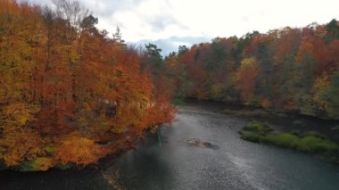 Radunia nehri, Kashubia 'da güneş doğmadan önce sonbahar manzarasında kıvrılır. Polonya