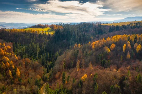 Krásná Krajina Pieniny Hory Podzimních Barvách Polsko — Stock fotografie