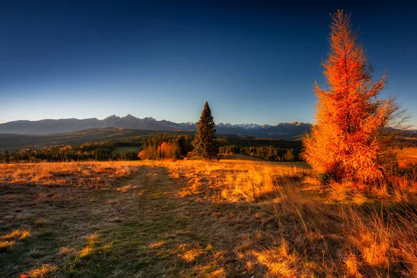 Belo Nascer Sol Sobre Montanhas Tatra Passe Sobre Lapszanka Polônia — Fotografia de Stock