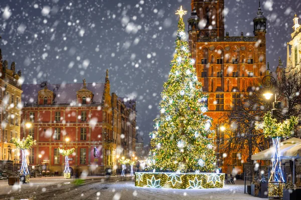 Karlı bir gecede eski Gdansk kasabasında güzel bir Noel ağacı. Polonya