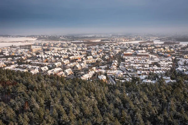 冬の雪の森の空中風景 ポーランド — ストック写真