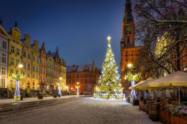 Eski Gdansk kasabasındaki güzel Noel ağacı kış gecesinde. Polonya