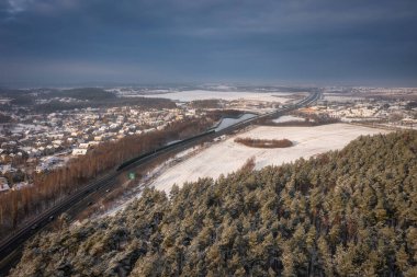 Kışın karlı ormanın havadan manzarası, Polonya.