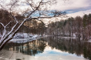 Kashubia 'daki Radunia nehri ve ormanın kış manzarası. Polonya