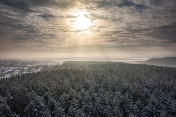 Paisagem Aérea Floresta Nevada Inverno Polônia — Fotografia de Stock