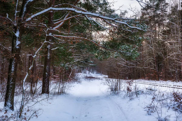 Winterlandschap Van Spoorbrug Rutki Kashubia Polen — Stockfoto