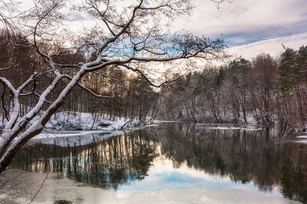 Χειμερινό Τοπίο Του Ποταμού Ραντούνια Και Δάσος Στην Κασούβια Πολωνία — Φωτογραφία Αρχείου