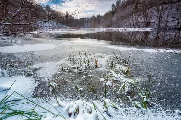 Zimní Krajina Řeky Radunie Lesa Kašubii Polsko — Stock fotografie