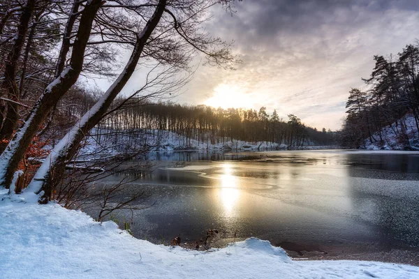 Winterlandschaft Des Flusses Radunia Und Des Waldes Kaschubia Polen — Stockfoto