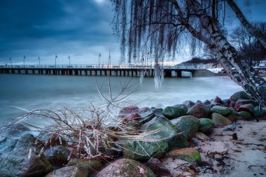 Gdynia Orlowo 'daki Baltık Denizi' nde donmuş huş dalları. Polonya