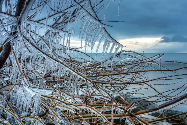Frozen Coast Baltic Sea Gdynia Orlowo Poland — Stock Photo, Image