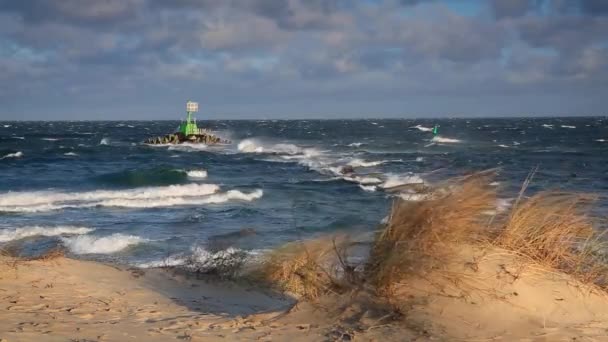 바람부는 그단스크의 발트해 해변에서 폴란드 — 비디오