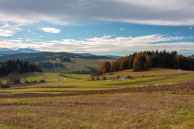 Pieniny dağlarının sonbahar renklerinde güzel manzarası. Polonya
