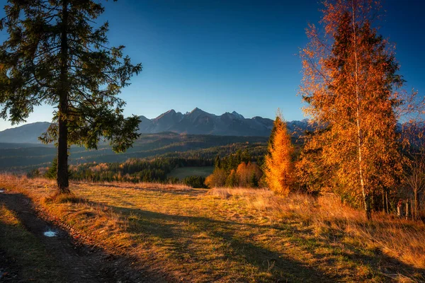 Beau Lever Soleil Sur Prairie Sous Les Montagnes Tatra Automne — Photo