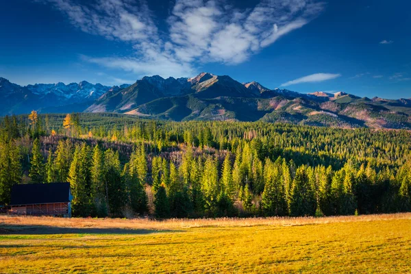 Bela Paisagem Das Montanhas Tatra Polonesas Cores Outonais — Fotografia de Stock