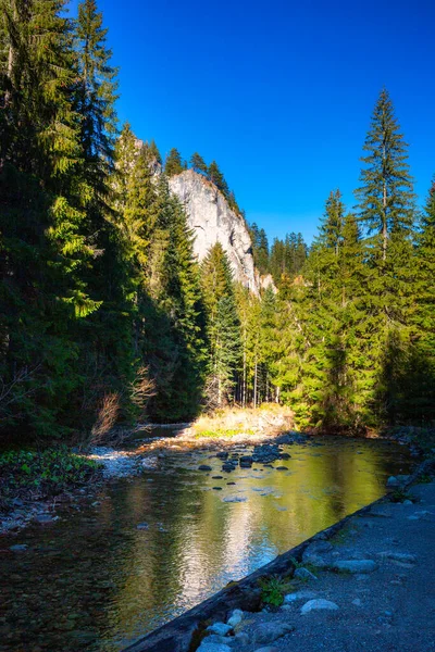 Schöne Landschaft Des Tatra Nationalparks Bei Sonnigem Wetter Polen — Stockfoto