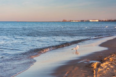 Baltık Denizi Sahili 'nde gün batımında Gdansk' ta. Polonya
