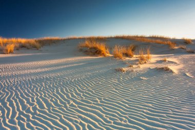 Baltık Denizi kıyısındaki Slowinski Ulusal Parkı 'nın güzel manzarası, Leba. Polonya