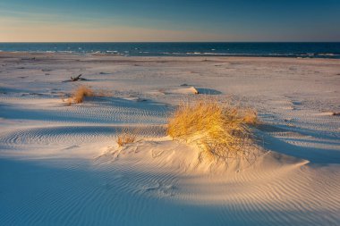 Baltık Denizi kıyısındaki Slowinski Ulusal Parkı 'nın güzel manzarası, Leba. Polonya