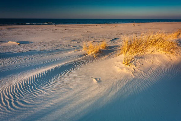 Baltık Denizi kıyısındaki Slowinski Ulusal Parkı 'nın güzel manzarası, Leba. Polonya