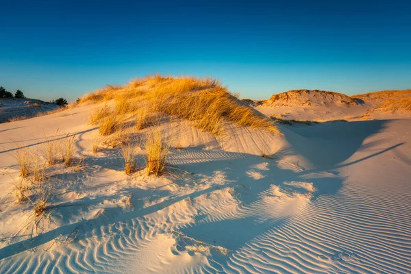 Прекрасный Пейзаж Песчаных Дюн Национальном Парке Словински Закате Леба Польша — стоковое фото