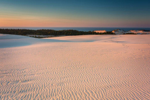 Prachtig Landschap Van Zandduinen Het Slowinski National Park Bij Zonsondergang — Stockfoto