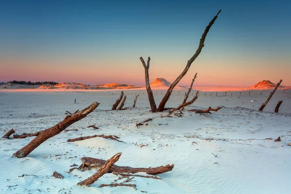 Vackra Landskap Sanddyner Slowinski National Park Vid Solnedgången Leba Polen — Stockfoto