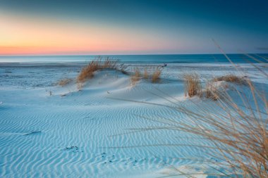 Baltık Denizi kıyısındaki Slowinski Ulusal Parkı 'nın güzel manzarası, Leba. Polonya