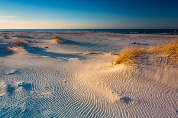 Bela Paisagem Parque Nacional Slowinski Junto Mar Báltico Leba Polónia — Fotografia de Stock